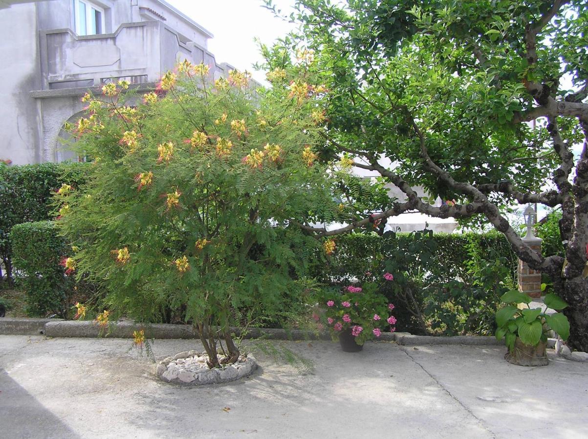 Apartments With A Parking Space Supetarska Draga - Donja, Rab - 15999 ภายนอก รูปภาพ